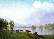 Albert Bierstadt Buffalo Country oil painting reproduction